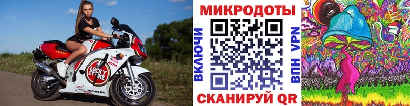 Псилоцибиновые грибы Psilocybe  Липецк 